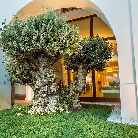 Masseria Martellotta